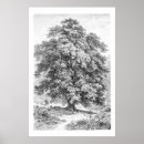 Search for draw a tree posters Simple