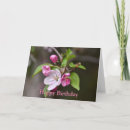 Search for crab apple Bloom