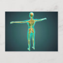 Search for jugular Medicine