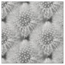 Search for dandelion fabric White