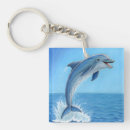 Search for silent key rings Nature
