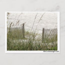 Search for beach grass postcards Sea
