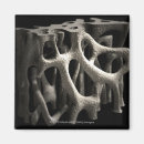 Search for illustration technique magnets Magnification