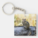 Search for chipmunk key rings Animal