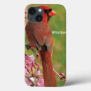 Search for red birds ipad cases Birds and blooms