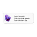 Search for pansy return address labels Flower