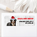 Search for mountain dog return address labels Animals