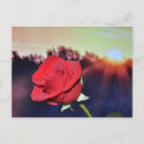 Search for watercolor pictures postcards Purple