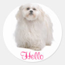 Search for shih tzu stickers Shitzu