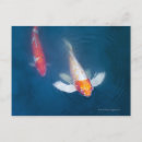 Search for fish pond postcards Horizontal