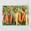 Search for pike place market postcards City