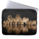 Search for laptop 13 inch electronics Cat