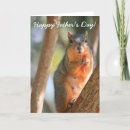 Search for mammal cards Rodent