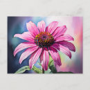 Search for coneflower postcards Nature