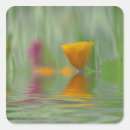 Search for abstract surreal stickers Colourful
