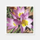 Search for crocuses Floral