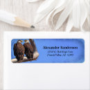 Search for bald eagle return address labels Birding