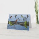 Search for flying dragons cards Flight