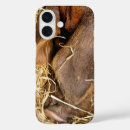 Search for animal farm iphone cases Pigs