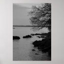 Search for black and white tree posters Unique