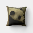 Search for precious photography Animals