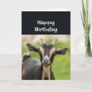 Search for happy goat cards Animal