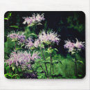 Search for bee on purple electronics Flower