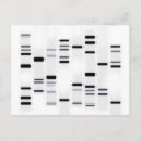 Search for genetics postcards Chromosome