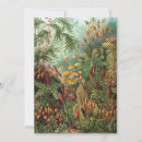 Search for rainforest invitations Floral