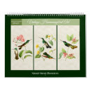 Search for hummingbird gifts Vintage