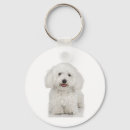 Search for maltese dog key rings Puppy