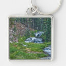 Search for resting key rings Nature