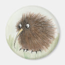 Search for new zealand magnets Bird