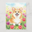 Search for cute corgi postcards Pet