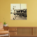 Search for white horses posters France