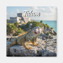 Search for tulum magnets Souvenir