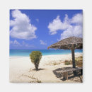 Search for antigua magnets Tropical