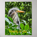 Search for think green posters Nature