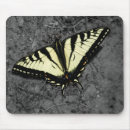 Search for eastern mousepads Swallowtail