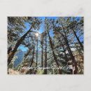 Search for co postcards Park