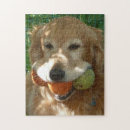 Search for tennis ball puzzles Golden retriever
