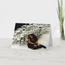 Search for happy merry christmas hanukkah cards Chanukah
