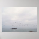Search for bird posters Sea