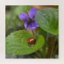 Search for ladybug puzzles Beetle