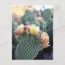 Search for orange stamp postcards Summer