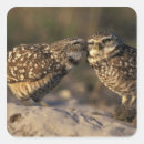 Search for bonding stickers Usa