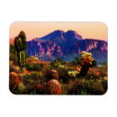 Search for superstition magnets Apache junction