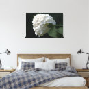 Search for lime canvas prints Photography
