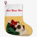 Search for guinea pig christmas stockings Cute