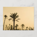 Search for morocco postcards Photography